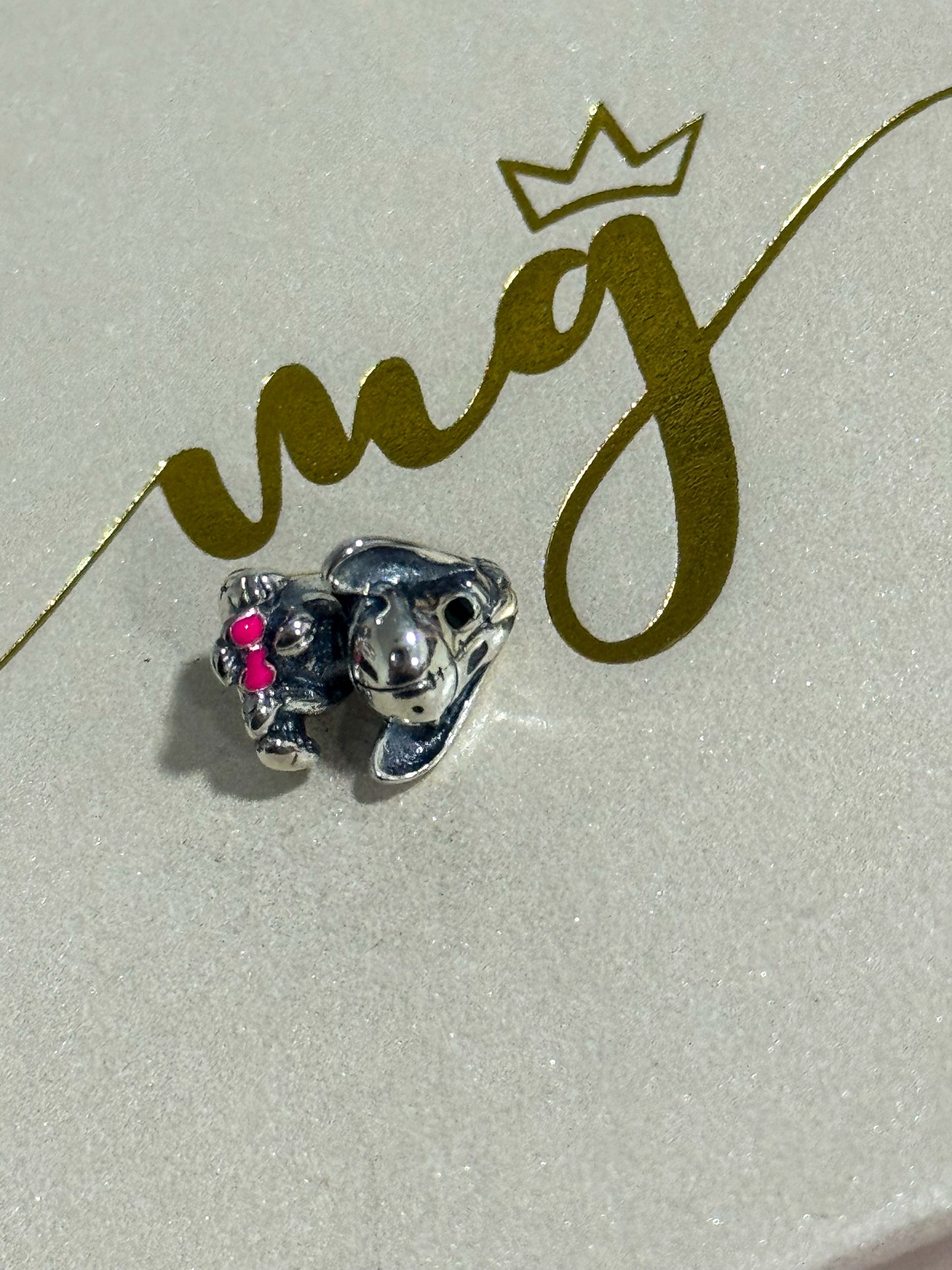 IGOR
